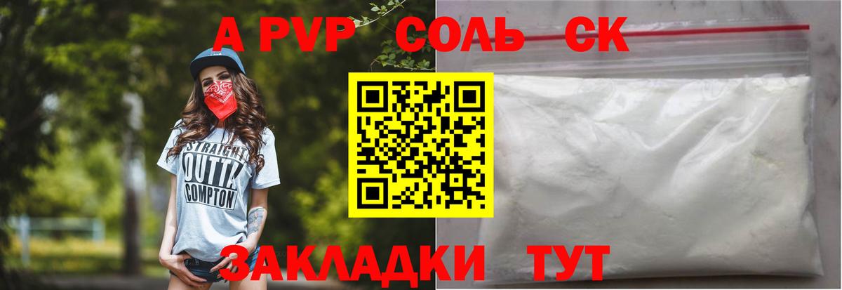 Alfa_PVP СК КРИС Гудермес