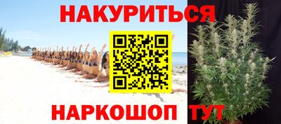 прущие грибы Моздок